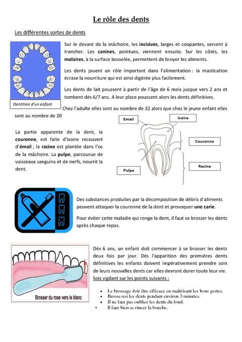 Le rôle des dents  Exercices  Ce2  Sciences  Cycle 3  Pass Education