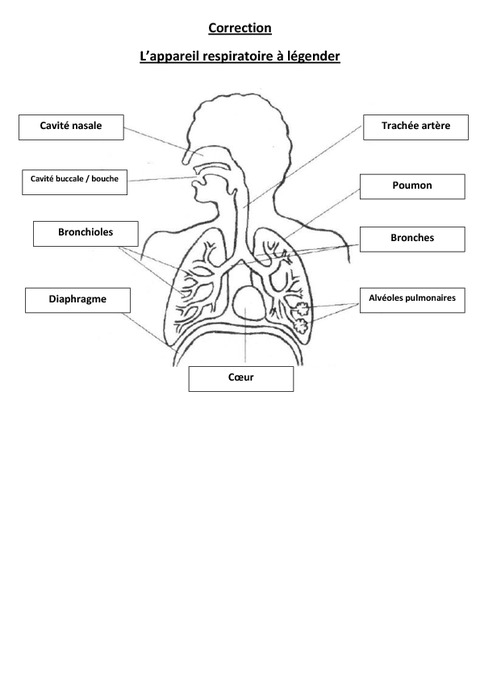 Appareil D'Exercice Respiratoire Oxyfit - Entraîneur Poumon Portable Avec Résistance Réglable Pour Sportifs