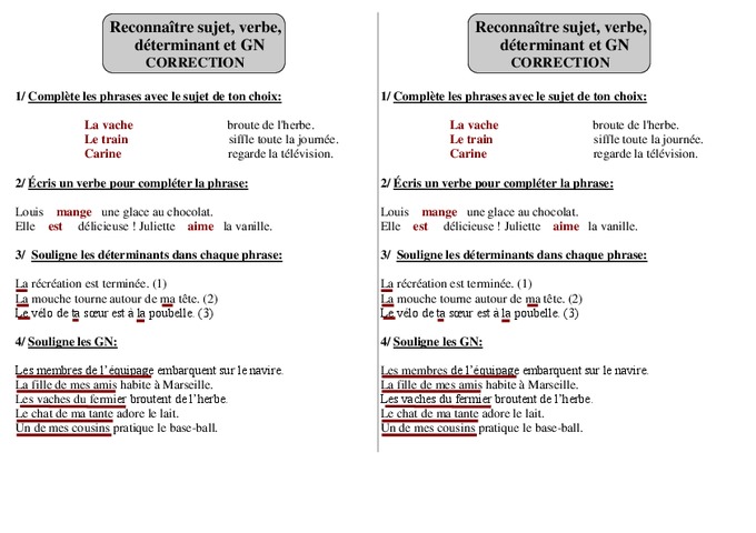 L'accord Dans Le Groupe Nominal Exercices Corrigés