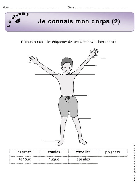 Je Connais Mon Corps Cp Exercices 2 Découverte Du Monde Cycle 2 Pass Education 