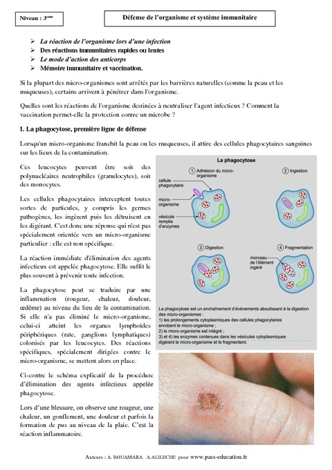 Défense De L'organisme - Système Immunitaire – 3ème – Cours – SVT ...