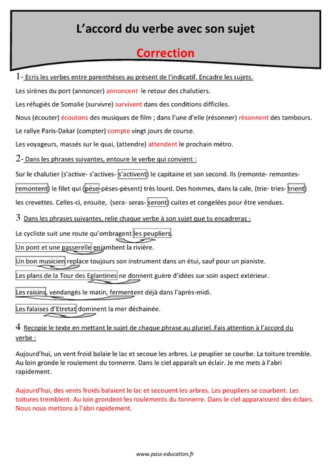 download cytochrome p