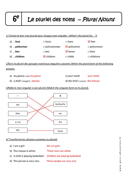 Plural Nouns - Pluriel Des Noms - 6ème - Exercices Corrigés - Pass ...