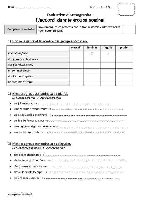 Accord Dans Le Groupe Nominal Ce2 Bilan à Imprimer Pass Education 9222