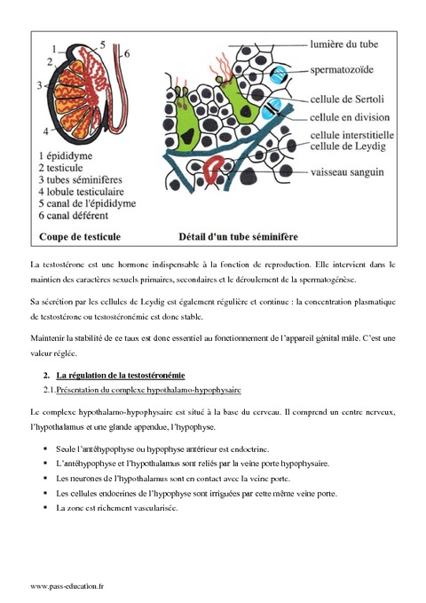 lieu de rencontre des cellules reproductrices