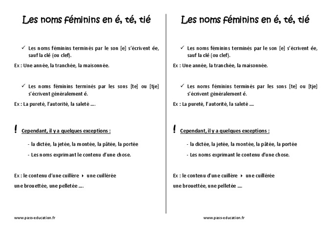 Le Féminin Des Noms Exercices Cm1 Pdf