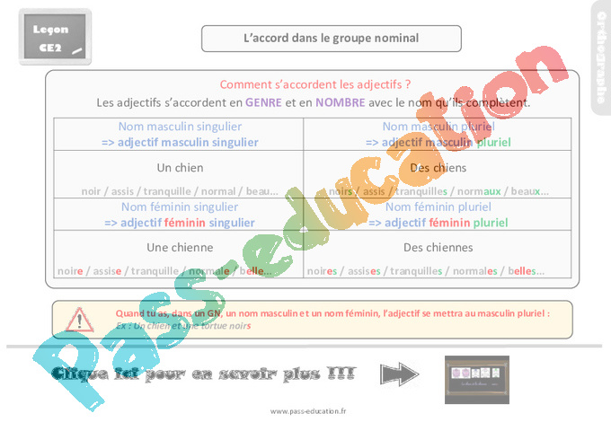 évaluation Ce2 Groupe Nominal Avec Correction www.pass-education.fr