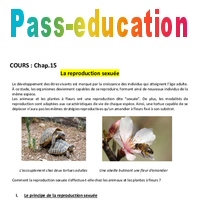 La Reproduction Sexu E Me Cours Pdf Imprimer