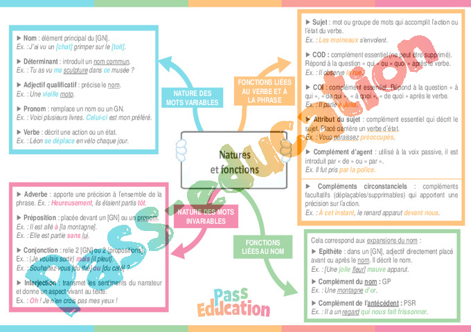 Nature et fonctions 4ème Carte mentale PDF à imprimer