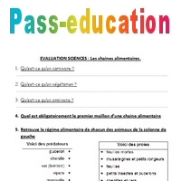 Exemple De Chaine Alimentaire 4 Maillons Pdf Cours Exercices Examens Exemple De Chaine Alimentaire 4 Maillons Pdf Cours Exercices Examens