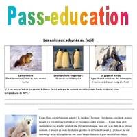 Classement et Rangement par taille - Animaux du froid