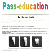 Rôle des dents  Ce1 – Exercices – Corps humain – Sciences – Cycle 2