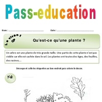 Qu Est Ce Qu Une Plante Cp Exercices Decouverte Du Monde Cycle 2