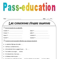 Consonnes Finales Muettes Ce Exercices Corrig S Pdf Imprimer