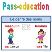 Genre Et Nombre Ce1 Ce2 Affiche Pour La Classe