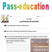 La Fonction De Nutrition - 6ème - Evaluation - Bilan - PDF à Imprimer