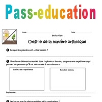 Origine De La Matiere Organique 6eme Evaluation Bilan