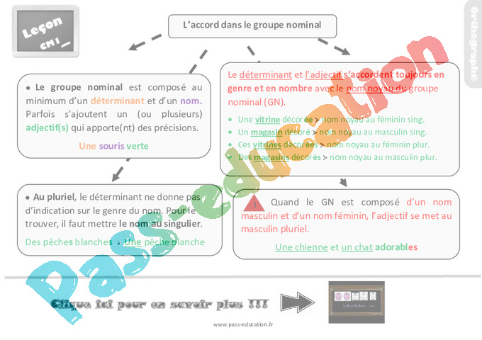 Leçon, trace écrite sur l’accord dans le groupe nominal au Cm1 - Pass