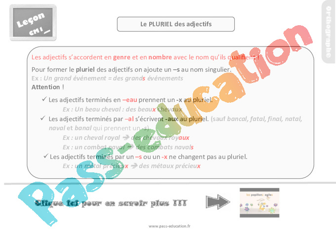 Le Pluriel Des Noms Et Des Adjectifs Cm1
