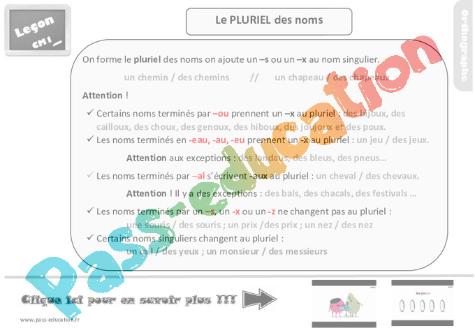Leçon, trace écrite sur le pluriel des noms au Cm1 - Pass Education