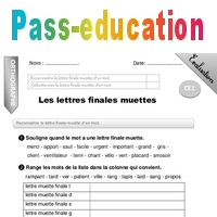 Lettres Finales Muettes Ce1 Evaluation Bilan