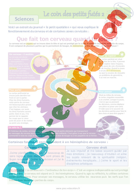 Les Gros Cerveaux Cm1 Cm2 Lecture Pluridisciplinaire Cycle 3 