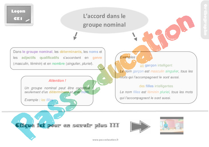 Leçon, trace écrite sur l’accord dans le groupe nominal au Ce1 - Pass