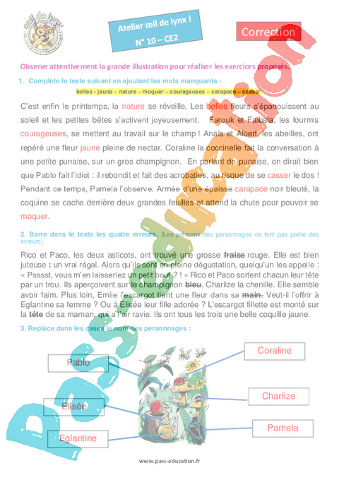 Les insectes – Ce2 – Atelier « Œil de lynx » - PDF à imprimer
