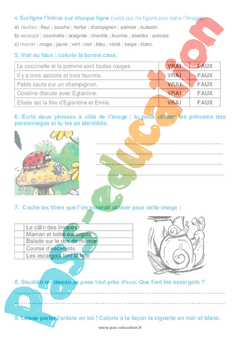 Les insectes – Ce2 – Atelier « Œil de lynx » - PDF à imprimer