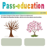 Les arbres - Les 4 saisons - Lecture - PS - MS - Maternelle - Cycle 1 ...