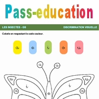 Le papillon - Les insectes - Discrimination visuelle - GS - Grande ...