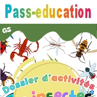 Les insectes - GS - Fichier d'activités - Maternelle - Cycle 1 - PDF à ...