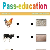 L'animal à son pelage – La ferme – Discrimination visuelle - PS ...