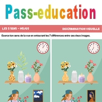 Sens de la vue - 7 différences - Discrimination visuelle - GS - Grande ...
