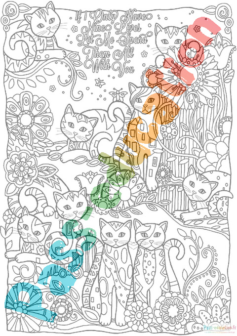 Téléchargement gratuit de coloriages des petits chats
