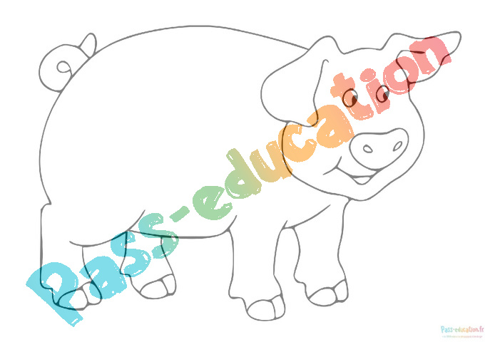 Coloriage cochon à imprimer en PDF
