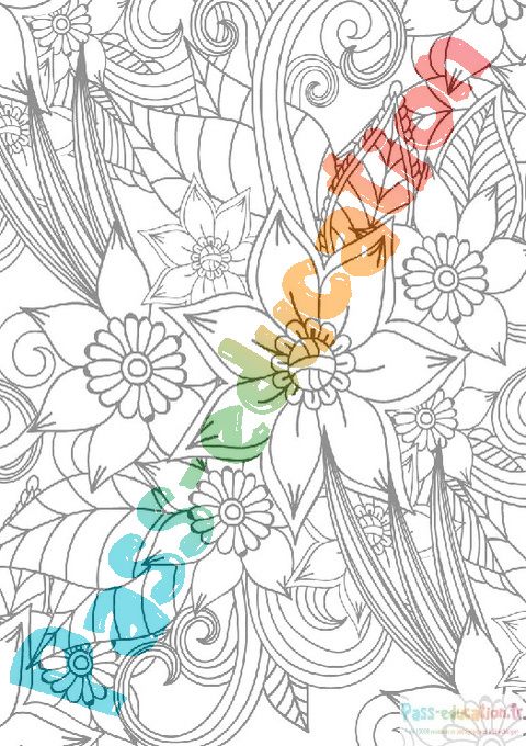 Dessin fleur GRATUIT : 24 supers dessins à imprimer