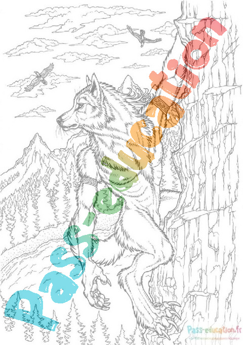 Coloriage loup garou : 30 dessins à imprimer gratuitement