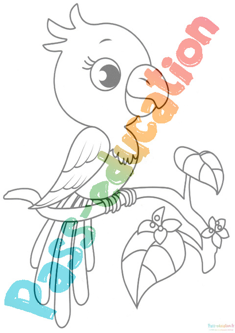 Cahier de coloriage multicolore, Lilo et stitch, fée clochette