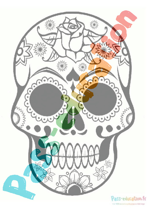 Dessin Halloween Tete De Mort