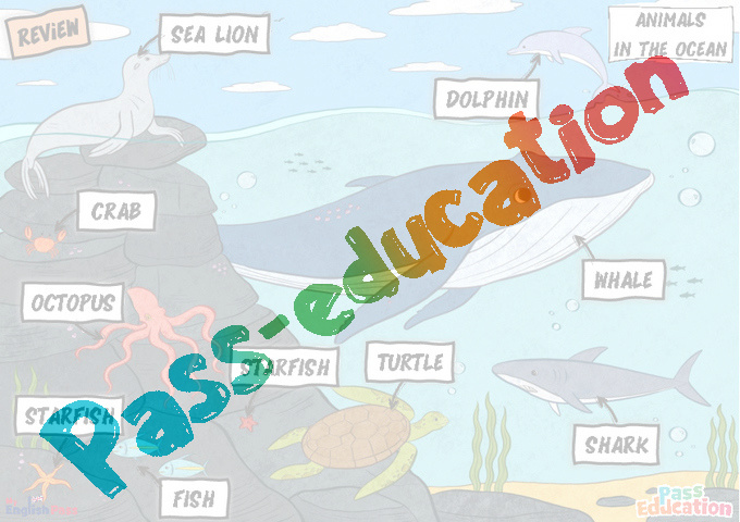 Leçon, exercice et évaluation :<br/> Animals - Anglais : CE2