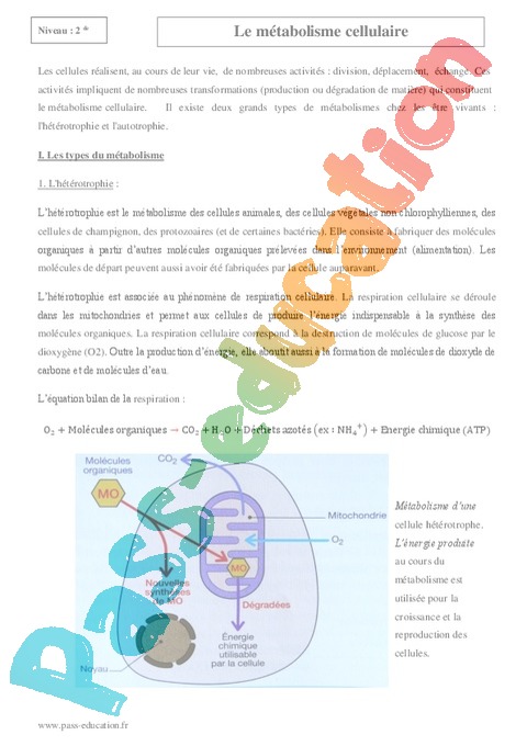 Cours Métabolisme cellulaire : Seconde - 2nde - Pass Education