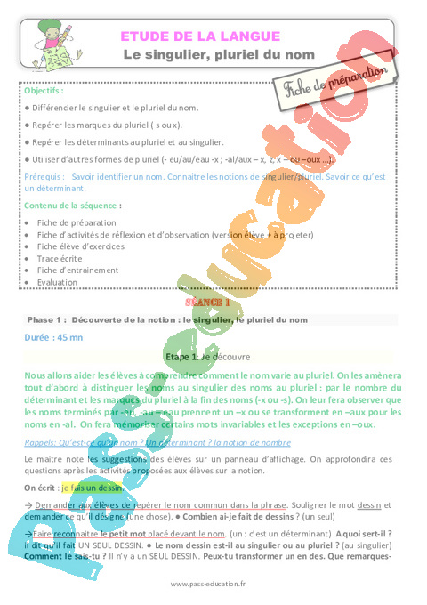 Accord du nom / pluriels particuliers - Orthographe - Français - Cycle 2 - Séquences didactiques CRPE 2025