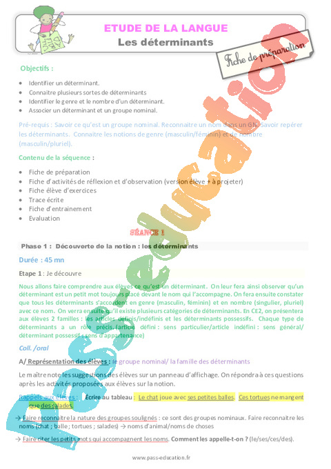 Article et déterminant - Grammaire - Français - Cycle 3 - Séquences didactiques CRPE 2025