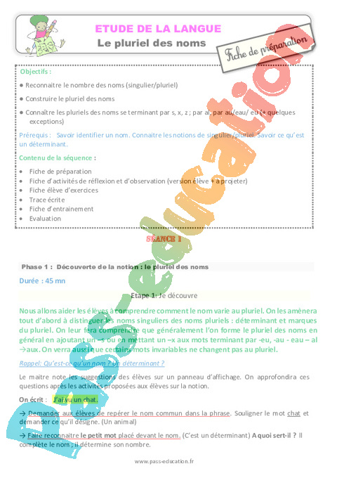 Pluriels particuliers - Orthographe - Français - Cycle 3 - Séquences didactiques CRPE 2025