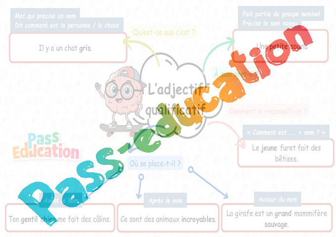 Carte mentale Adjectif Qualificatif : CE1