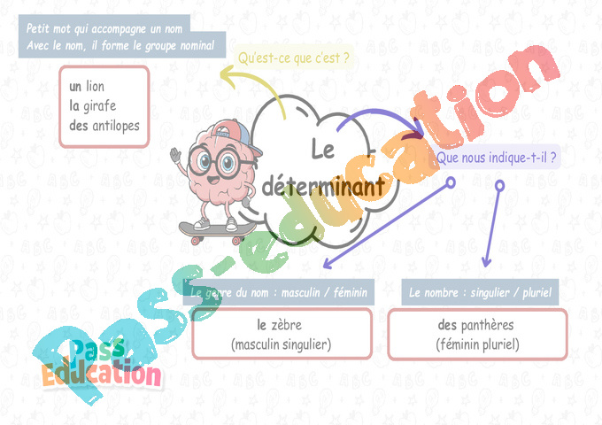 Carte mentale Article et déterminant : CE1