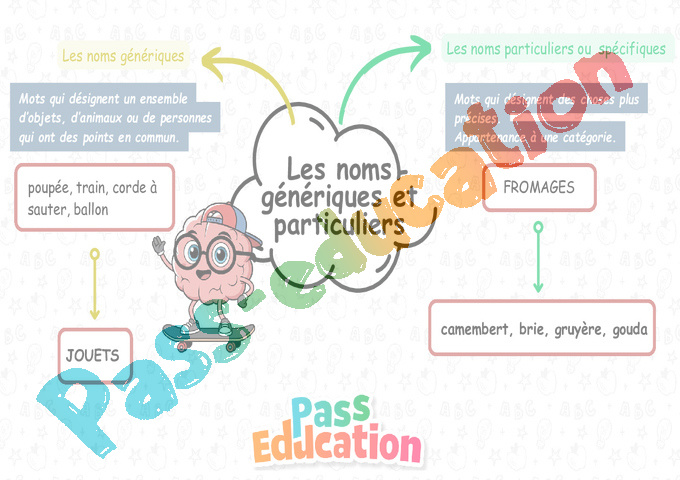 Carte mentale Mots étiquettes / termes génériques et particuliers : CE2