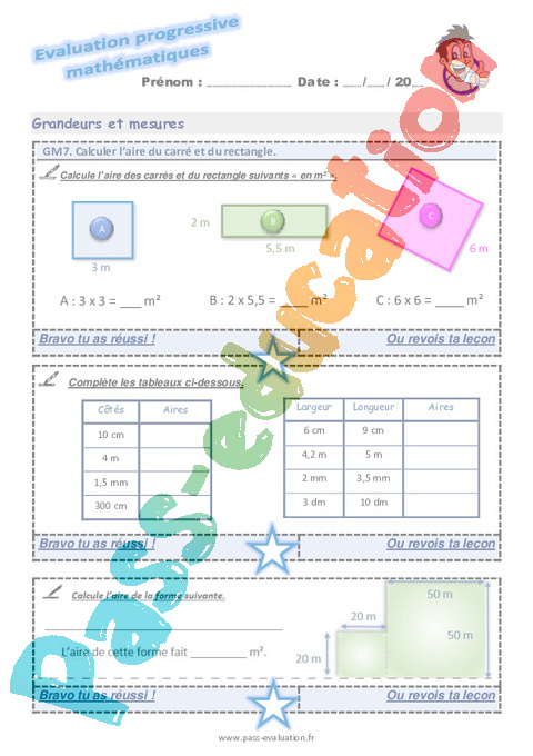 Evaluation progressive par compétences : Aires : CM2