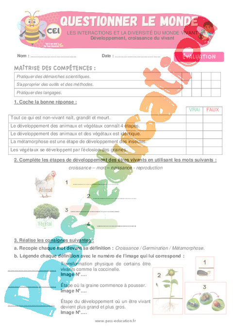 Evaluation La matière, les mouvements et les signaux : CE1